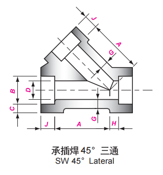 SW 45 LATÉRAL (2)